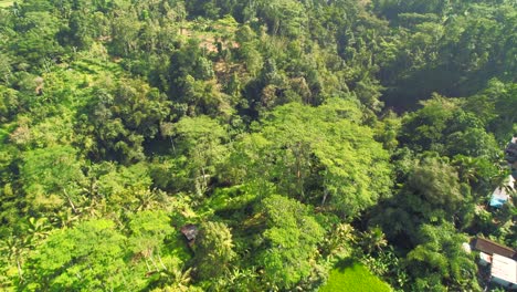 aerial view of bangli valley landlocked regency of bali, indonesia