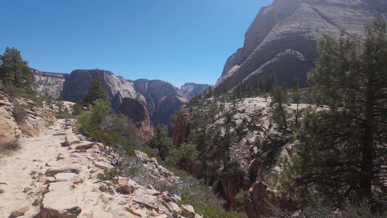 Enormes acantilados cubiertos de árboles bajo un cielo soleado en el Parque Nacional Zion