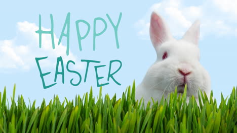 animation von frohem ostern, weißem kaninchen und gras