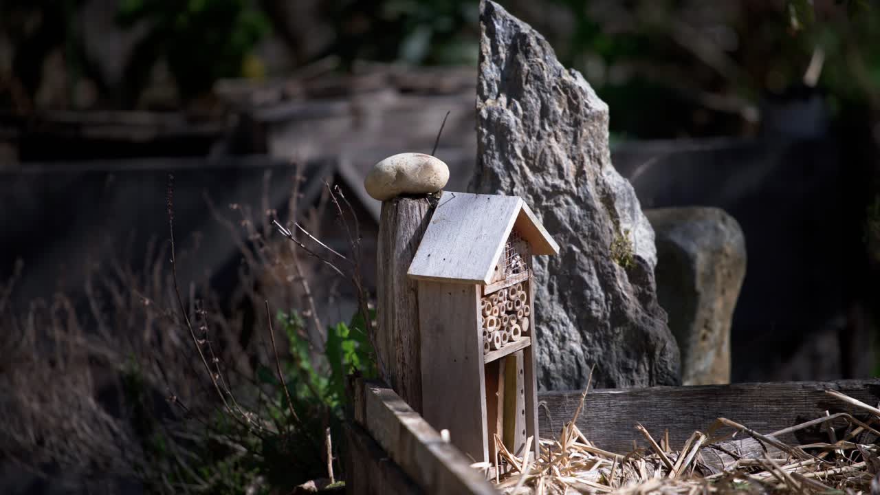 Eco-friendly DIY birdhouse for avian conservation