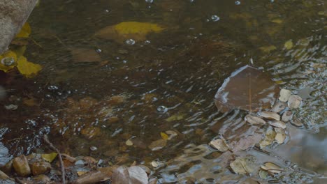 Calm,-peaceful-and-restful-setting-as-water-trickles-into-a-pond-or-brook---concept