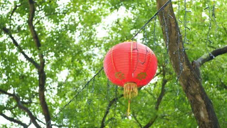 linterna roja china del año nuevo chino