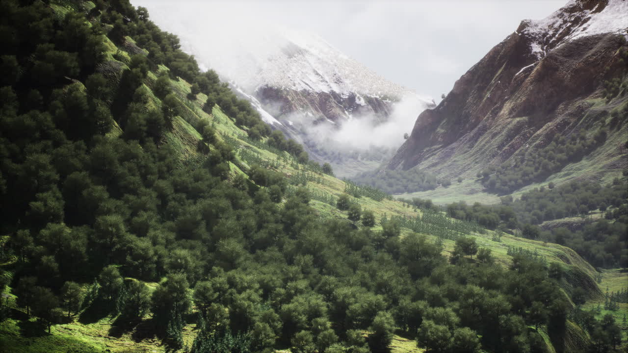 disparo de un arroyo en medio de bosques verdes rodeados de colinas