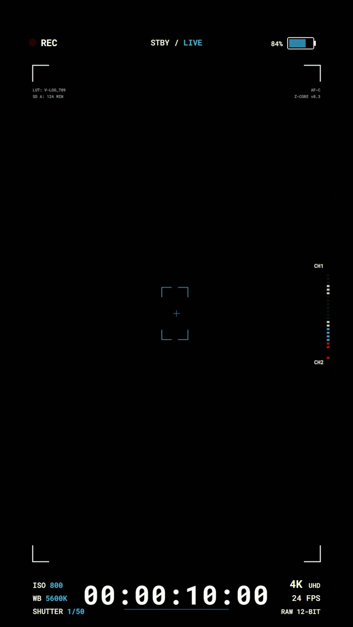 Digital Camera Viewfinder Interface Recording Screen