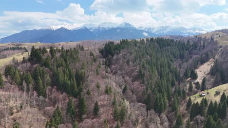 The-bucegi-mountains-with-dense-forest-and-clear-blue-sky-in-the-background,-aerial-view