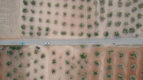 Toma-De-Drones-De-Arriba-Hacia-Abajo-De-Autos-Conduciendo-A-Través-De-Un-Desierto-árido-En-España