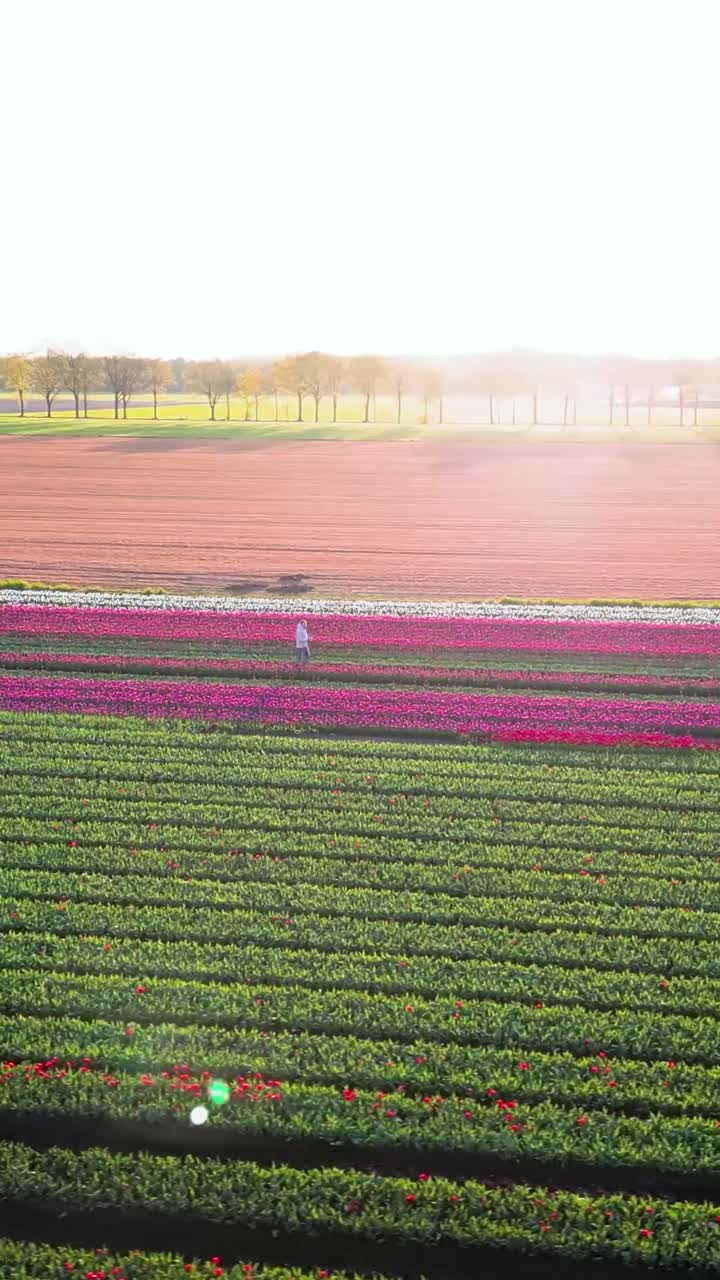 해가 지는 동안 다채로운 립