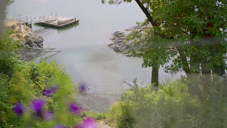 a shot of the beach side and private docks of view royal, victoria, canada