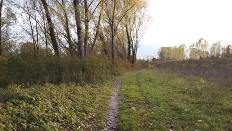 Path-in-the-middle-of-the-nature,-countryside-road,-walking,-gimbal,-raw-footage,-in-north-italy