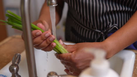 Washing-fresh-green-onions-in-the-kitchen-sink---slow-motion