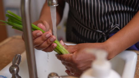 washing fresh green onions in the kitchen sink - slow motion