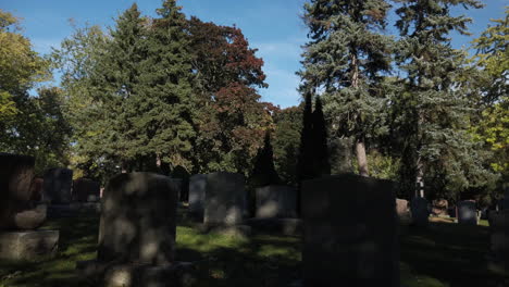 wide daytime shot with a tilt down to empty tombstones and moving shadows