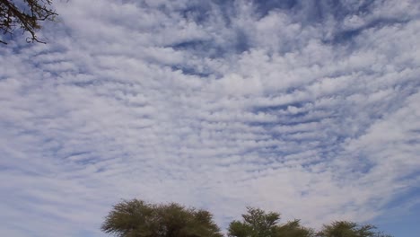 Die-Sahara-Von-Algerien