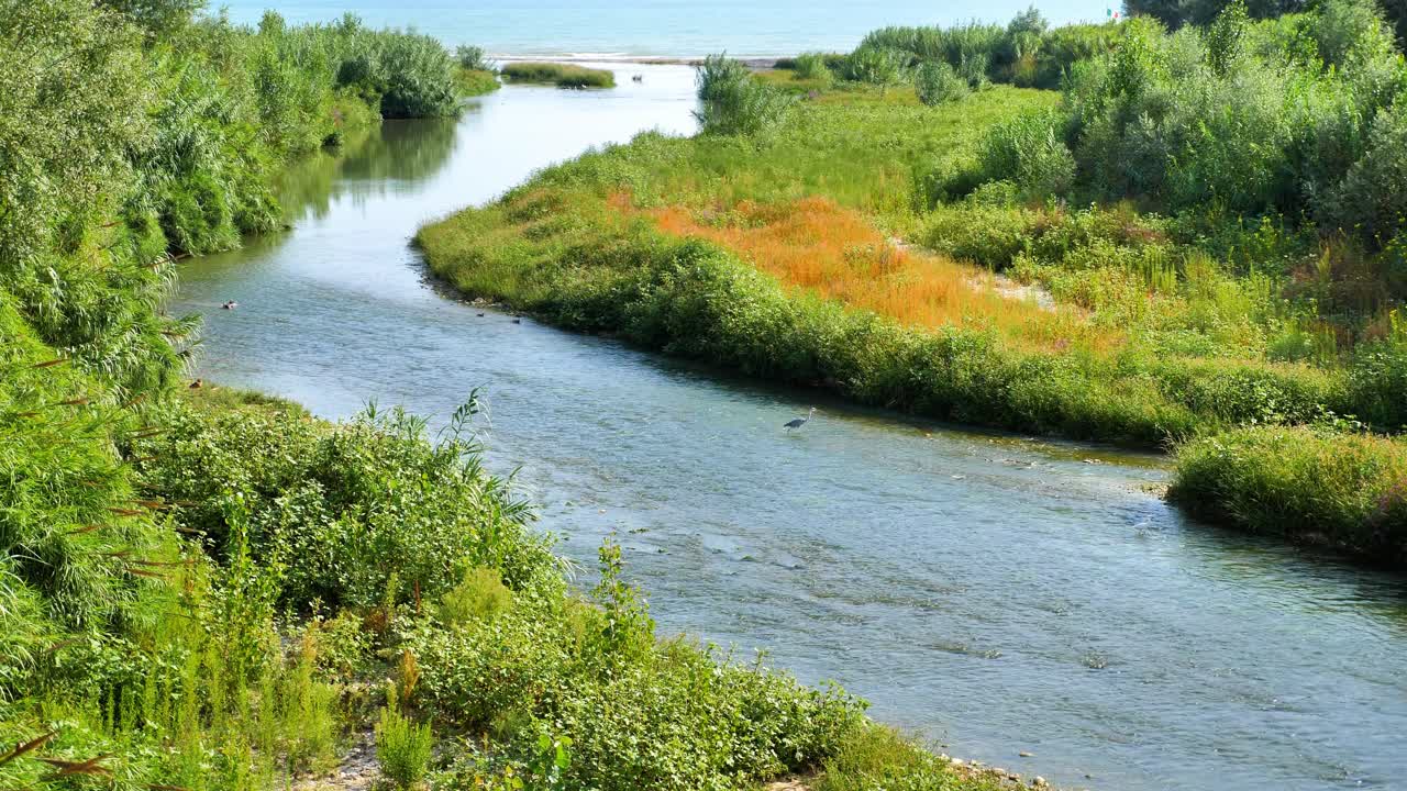 река с большой зеленой растительностью по бокам, впадающая в море