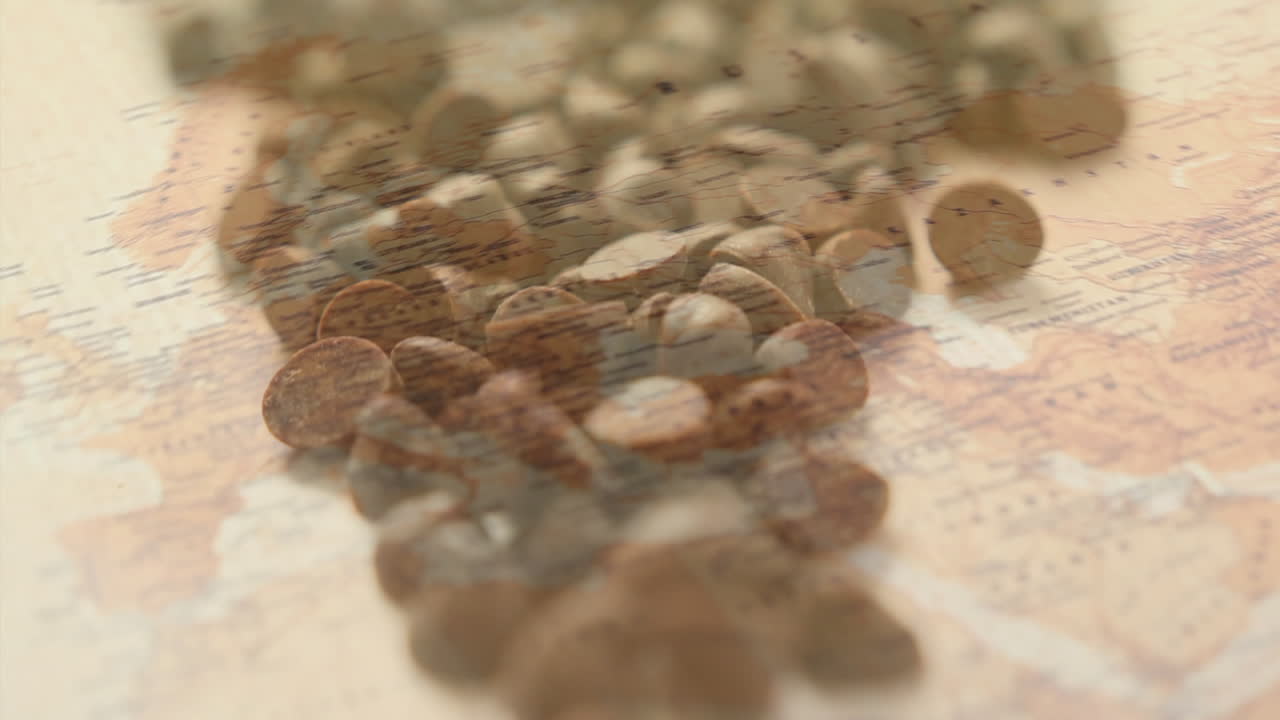 세계 지도 위의 초콜릿  ⁇ 의 애니메이션