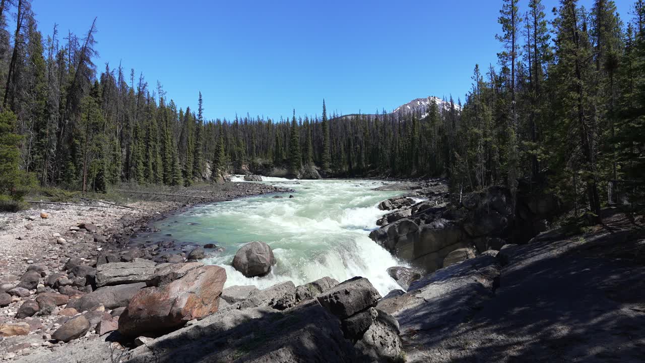 Sunwapta Falls fosser gennem en kløft i Jasper National Park i de canadiske Rocky Mountains