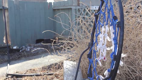un anaco de pelota de baloncesto desgarrado en el patio delantero de una casa durante el día