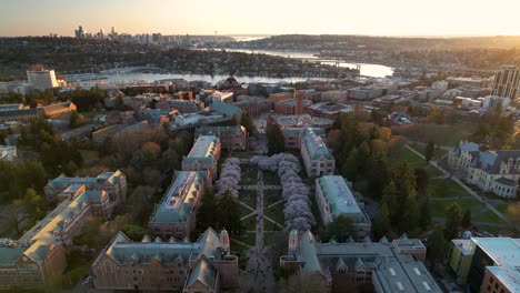 Epic-wide-aerial-starting-on-the-cherry-blossoms-at-the-University-of-Washington-and-zooming-out-to-show-Seattle's-downtown-skyline-in-the-distance