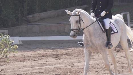 woman rides a white horse on the equestrian competition field