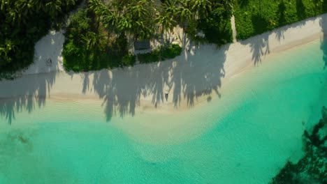 remote tropical island with woman enjoying a perfect white beach by herself