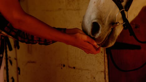 Mother-and-daughter-feeding-a-horse-4k