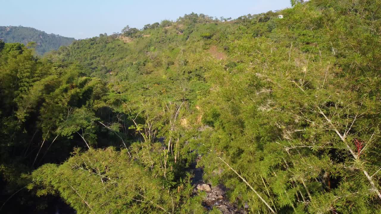 volando a través de árboles verdes y exuberantes en la selva tropical revelando el arroyo en la zona rural de rionegro, antioquia, colombia