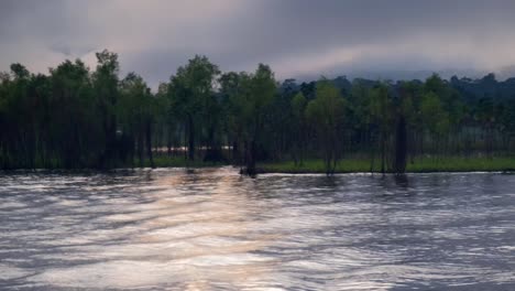 Río-Amazonas-En-La-Selva-Amazónica-Brasil-Caminando-Al-Atardecer