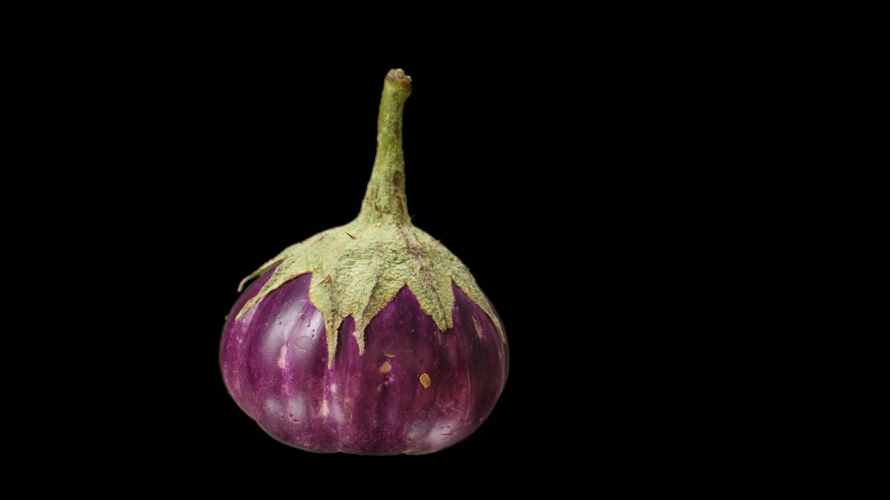Realistic Eggplant Rotating With Alpha Channel, Video In 4K