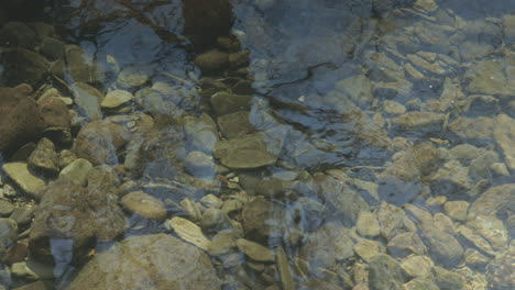 Beautiful-graphical-shot-of-a-stream-bed-on-a-sunny-day