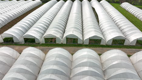 greenhouse buildings at plant landscape nursery