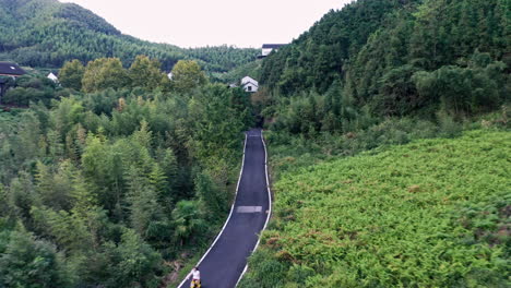 Toma-Aérea-De-Una-Persona-Conduciendo-Una-Moto-Por-Una-Carretera-Vacía-En-Un-Bosque-De-Bambú