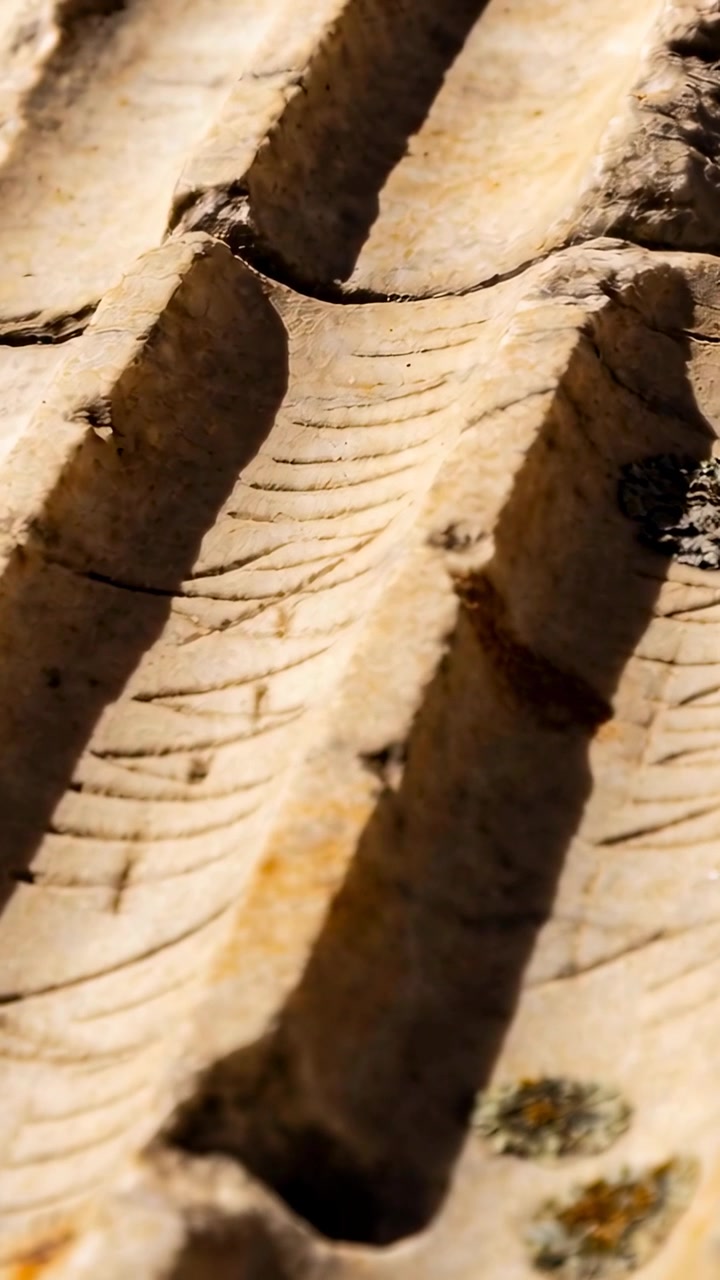 Video verticale: Ripresa scorrevole che mostra scanalature di pietra consumate su un muro illuminato dal sole, rivelando profondità e licheni.