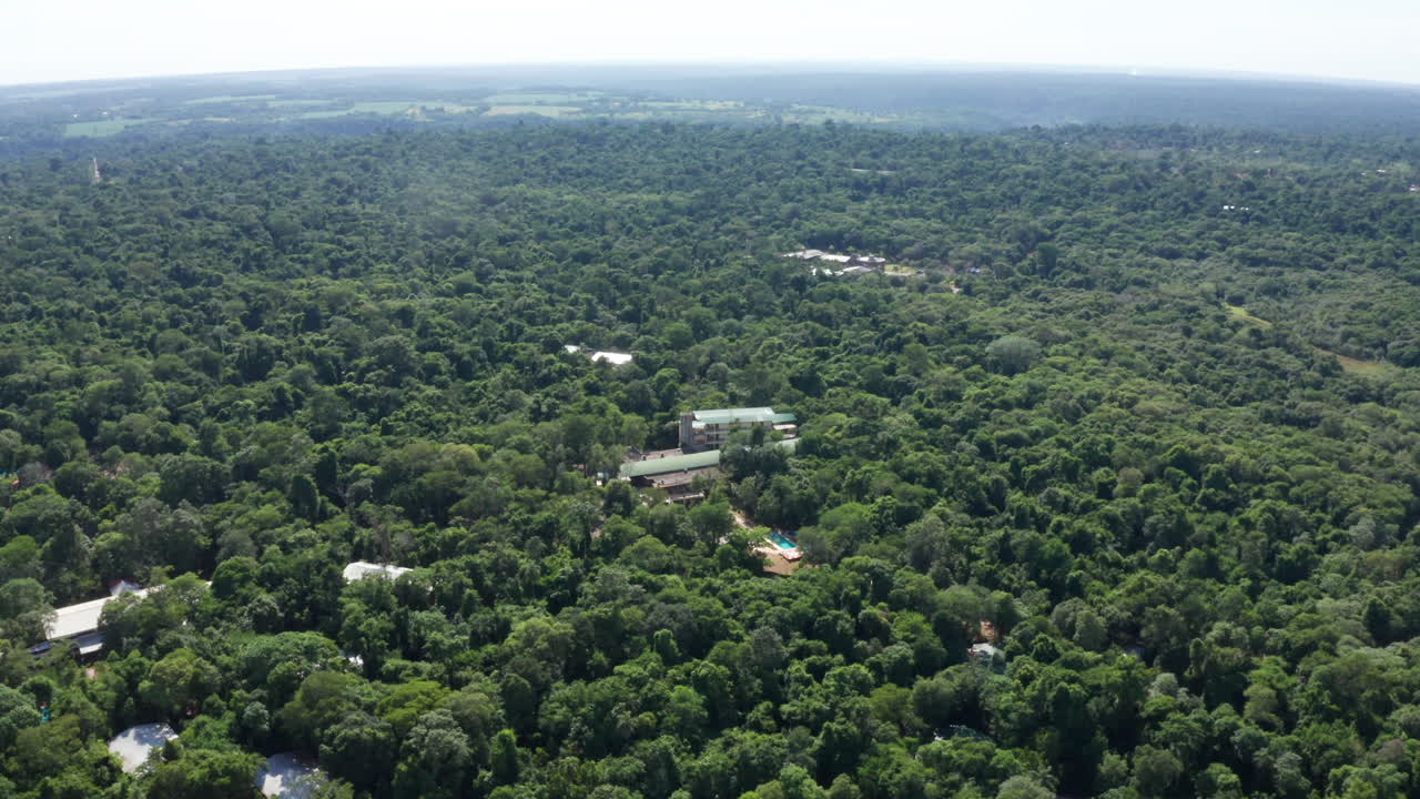 antena - selva en el parque nacional de iguazú, misiones, argentina, gran tiro giratorio