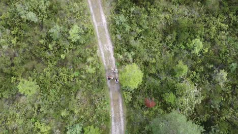 Family-trekking-on-forest-path-in-Dolomites-mountains,-Italy,-aerial-top-down