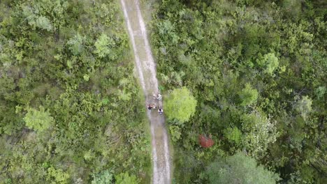 trekking familiar en el camino del bosque en las montañas dolomitas, italia, vista aérea de arriba hacia abajo