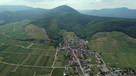 aerial view of a charming alsatian village and vineyards