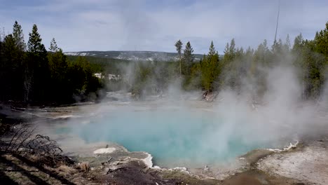 Emerald-Spring,-Norris-Geyser-Basin,-Yellowstone