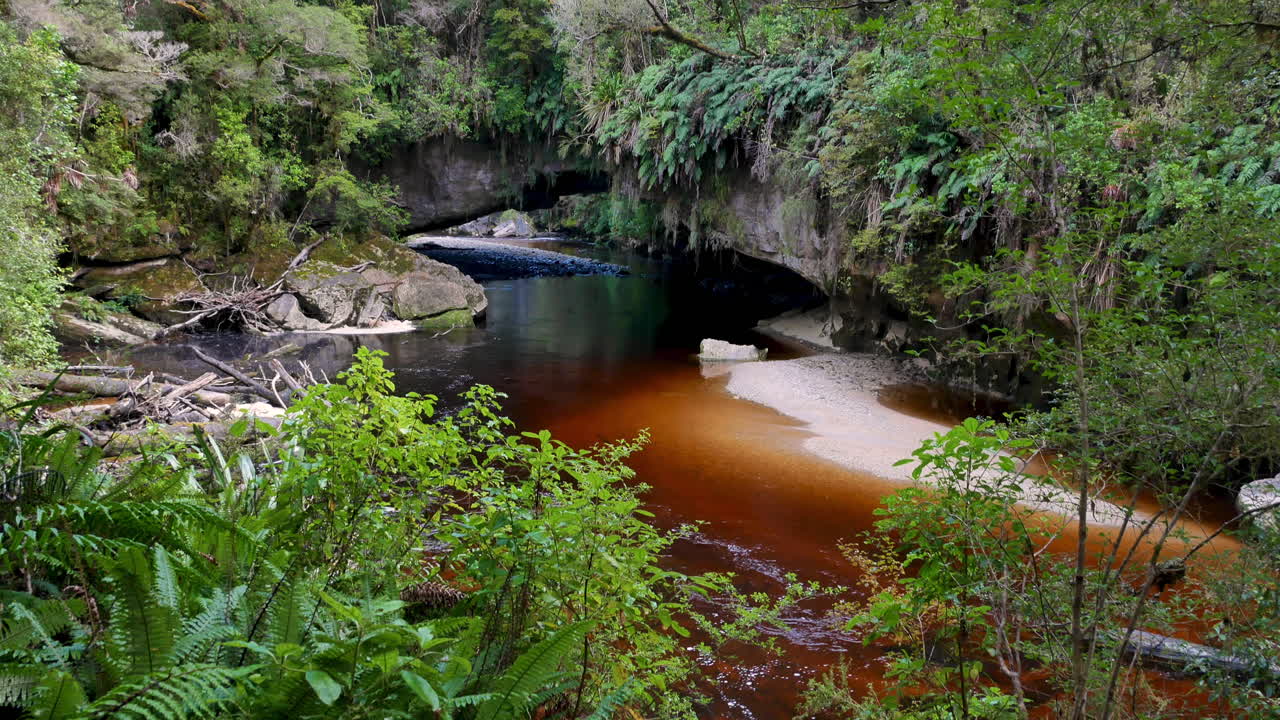 toma amplia que muestra un río selvático tranquilo escondido rodeado de diversidad de plantas durante el día soleado en nueva zelanda
