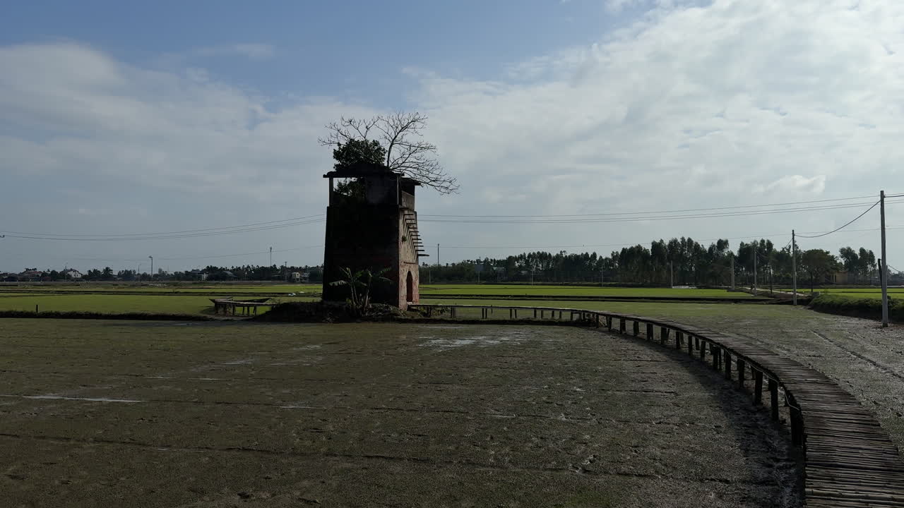 4K panoramic shot of rice paddies and rural Vietnamese landscape at sunrise