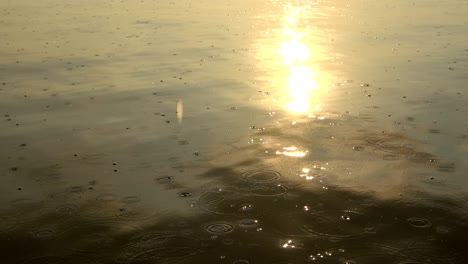 close-up shot of raindrops falling on the ocean at sunset