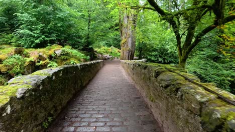 a scenic walk through lush greenery