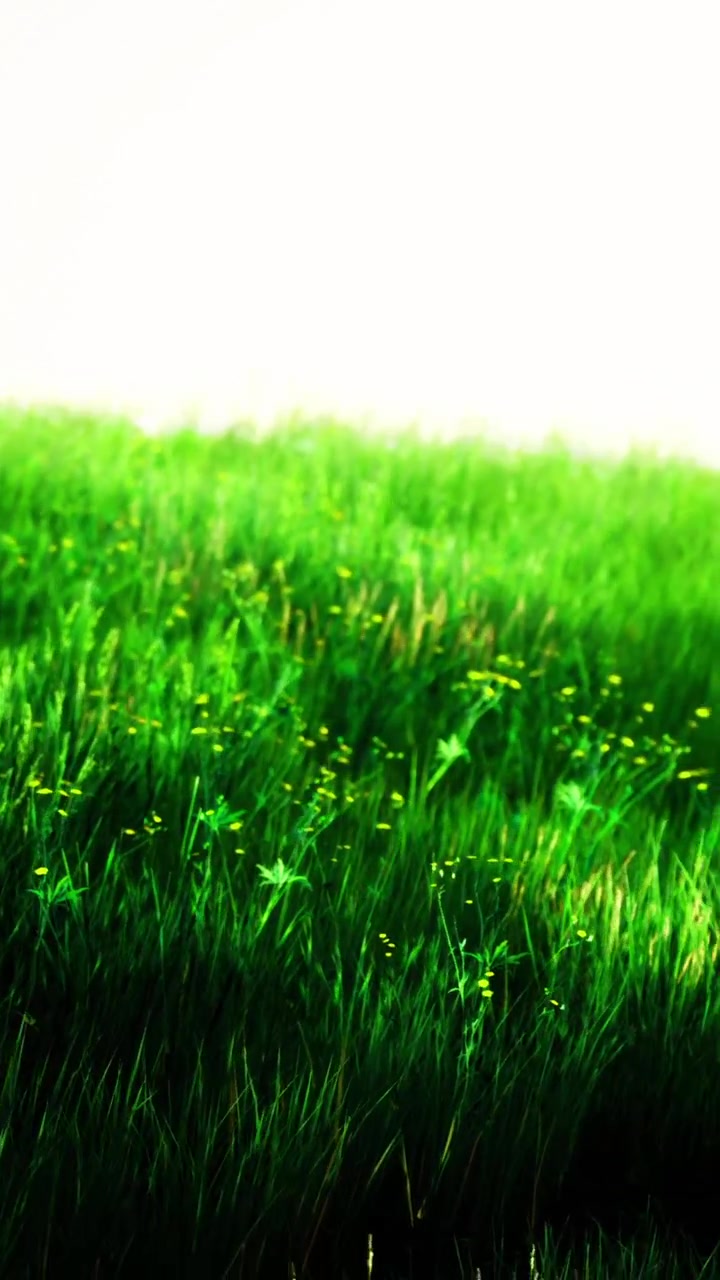 Erba verde fresca con fiori gialli in piena luce durante il giorno.