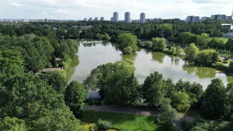 Park-pond-during-a-beautiful-summer-day-surrounded-by-lush-greenery,-grass,-and-trees-under-a-blue-sky