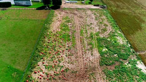 Granja-De-Calabazas-Amish-Vista-Por-Un-Dron