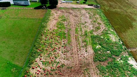 granja de calabazas amish vista por un dron