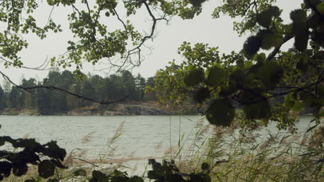 wind moving leaves on a beach with gentle waves in the finnish archipelago