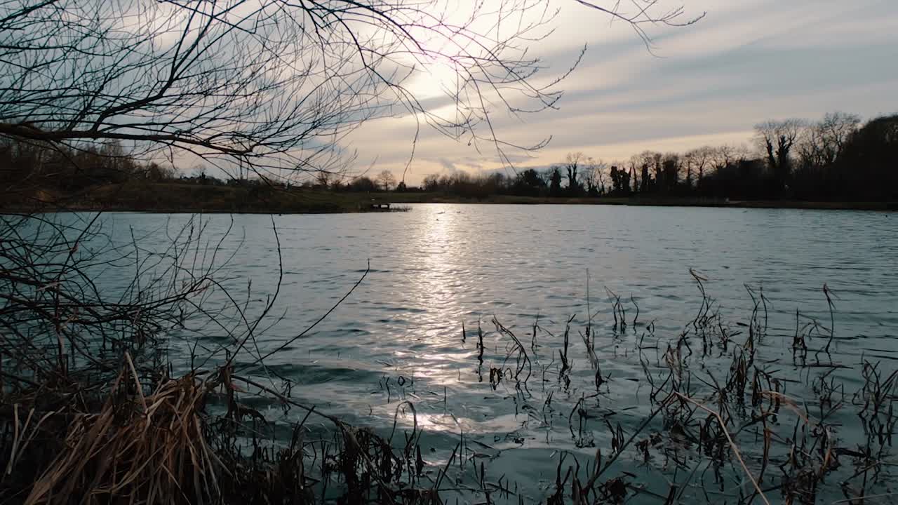 작은 파도가 해안을 씻을 때 일몰 동안 나무와 식물로 둘러싸인 호수의 낮은 각도 와이드 샷
