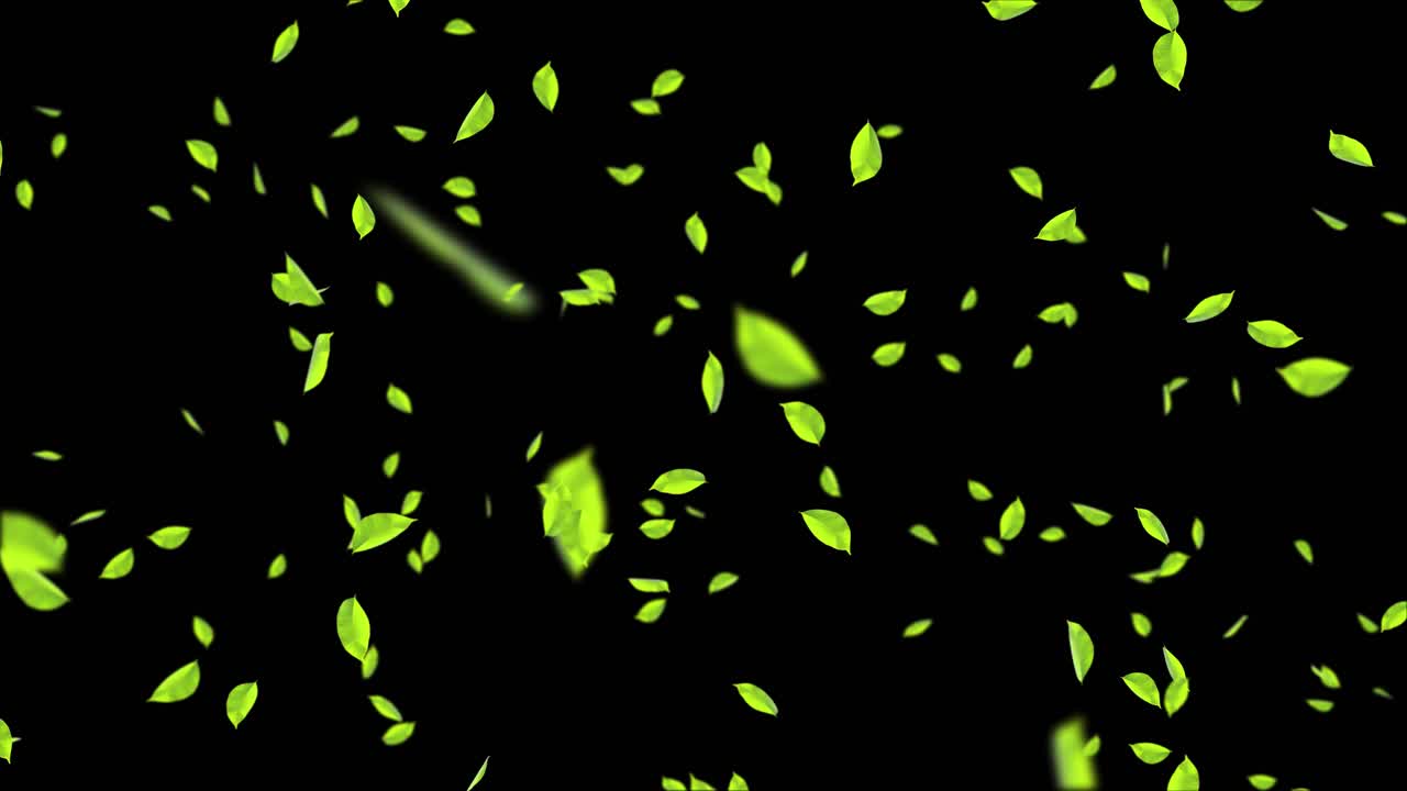 3d animation of a mint leaves falling flow motion loop animation pieces of debris spring green