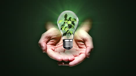 hands presenting light bulb with plant