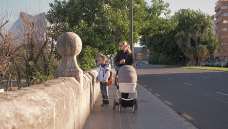 mother walking with her young son